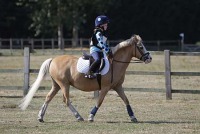 Lyford Hunter Trials