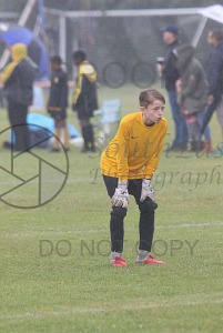 Abbey Rangers 2019, Sun